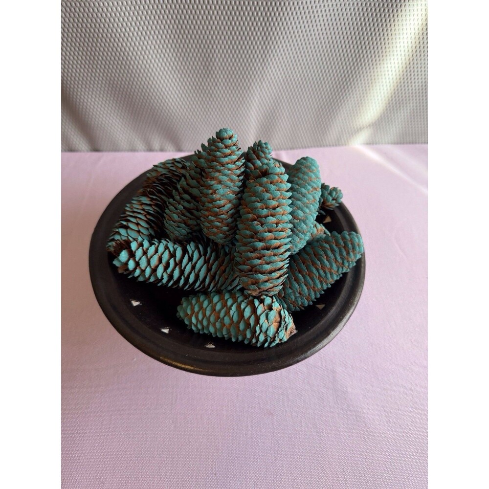 Hand painted Pine Cones For Crafts Set Of 15